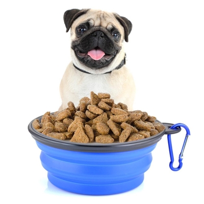 Harga yang bagus Pet Bowl Collapsible Dog Bowls 2 Pack Portable Silicone Pet Feeder Dog Cat Food Water Feeding Travel Bowl Untuk Camping on line