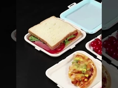 Wadah sandwich untuk kotak makan siang
